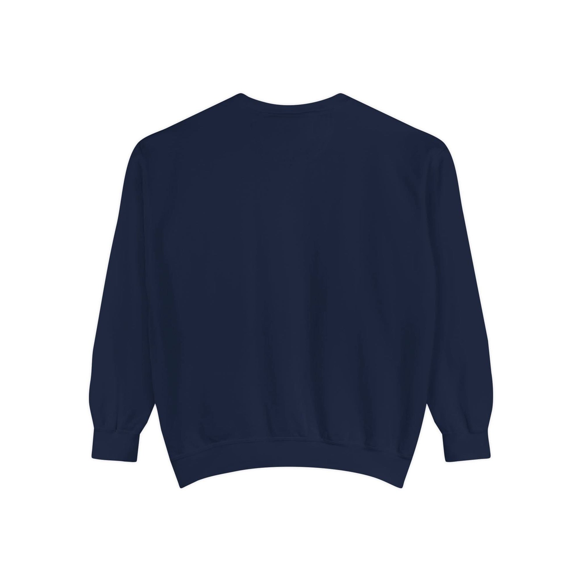 Christmas Pelican Santa Sweatshirt