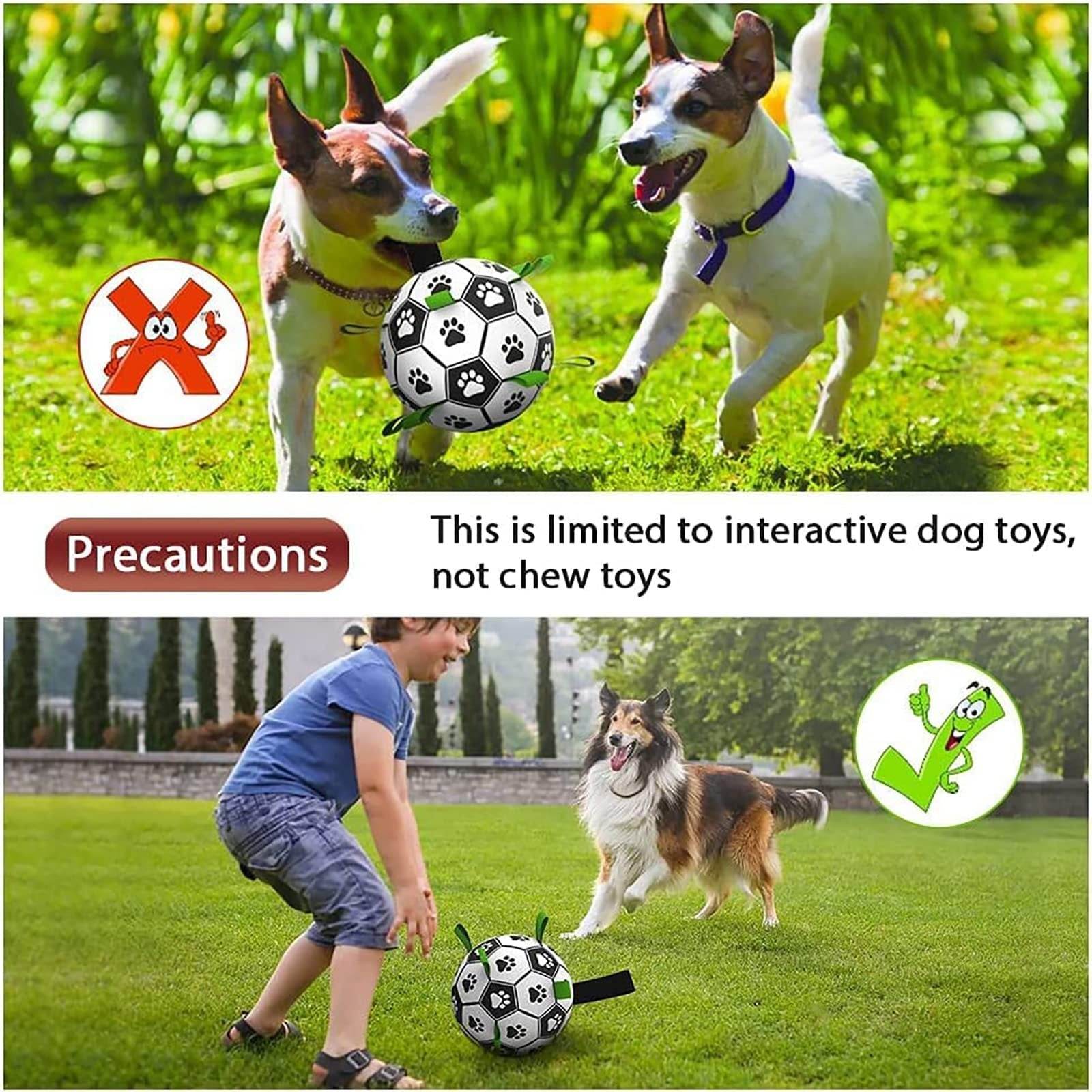 Two dogs playing outdoors with an interactive dog football toy designed for fetch and training, emphasizing it is for interactive use, not chewing.