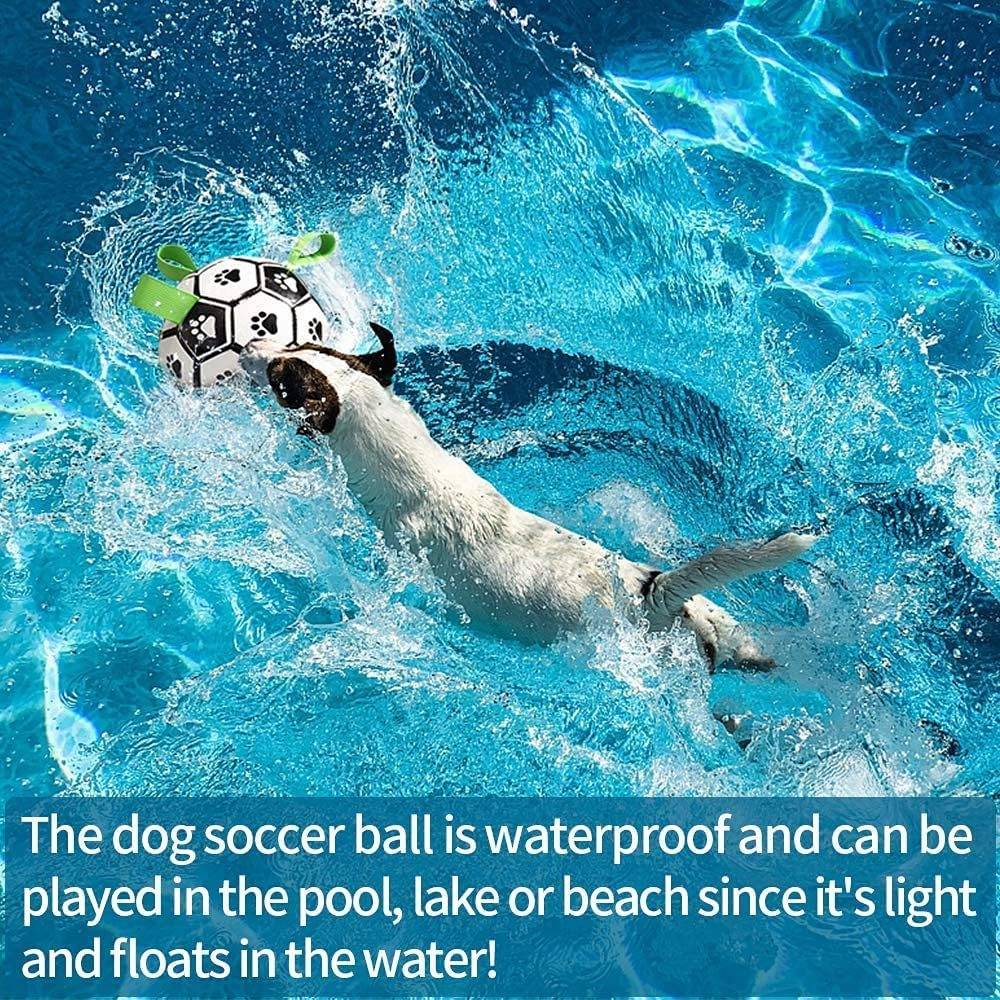 Interactive dog football toy soccer ball floating in pool for water play