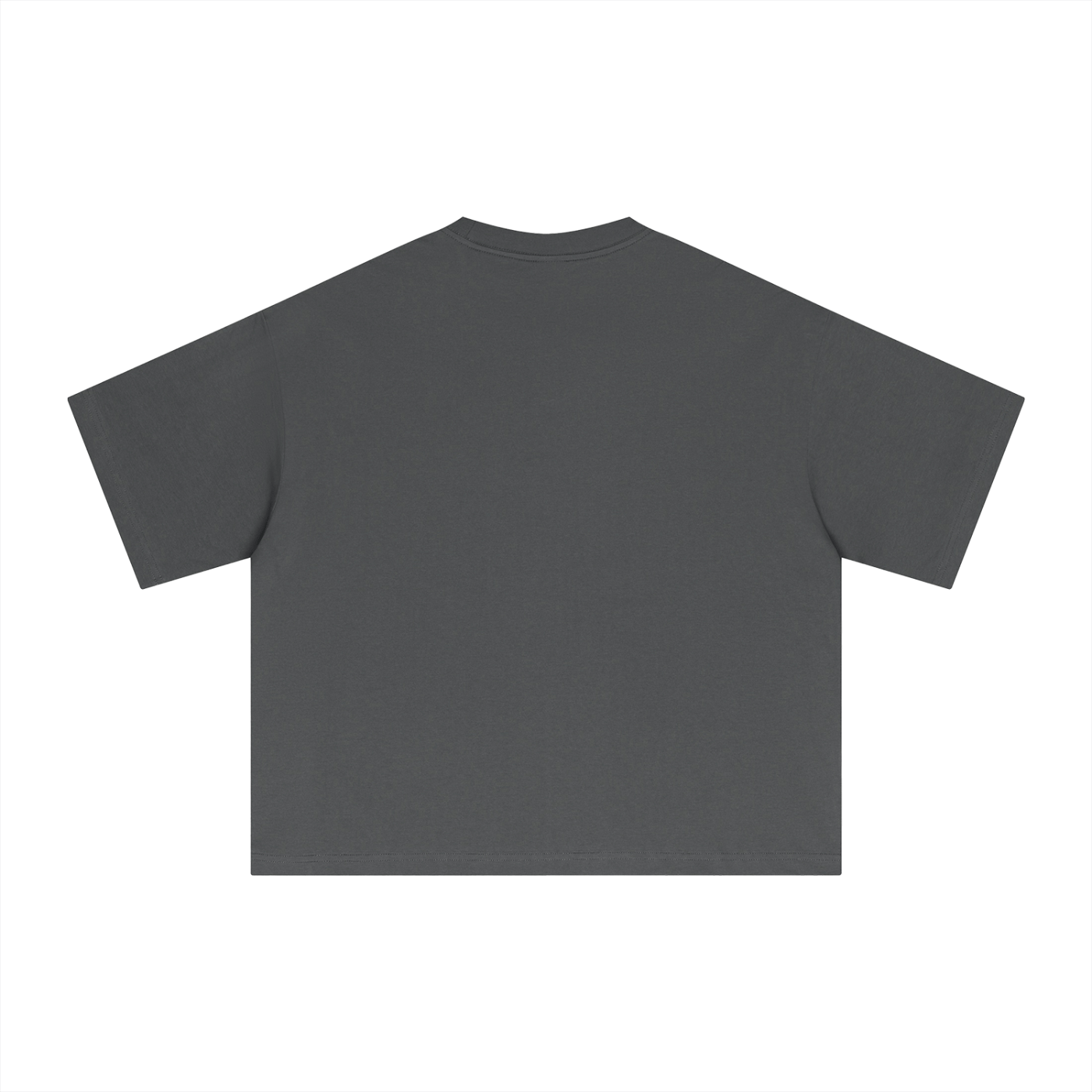 Essential Sorona Boxy T-Shirt unisex gray cotton blend casual short sleeve tee back view