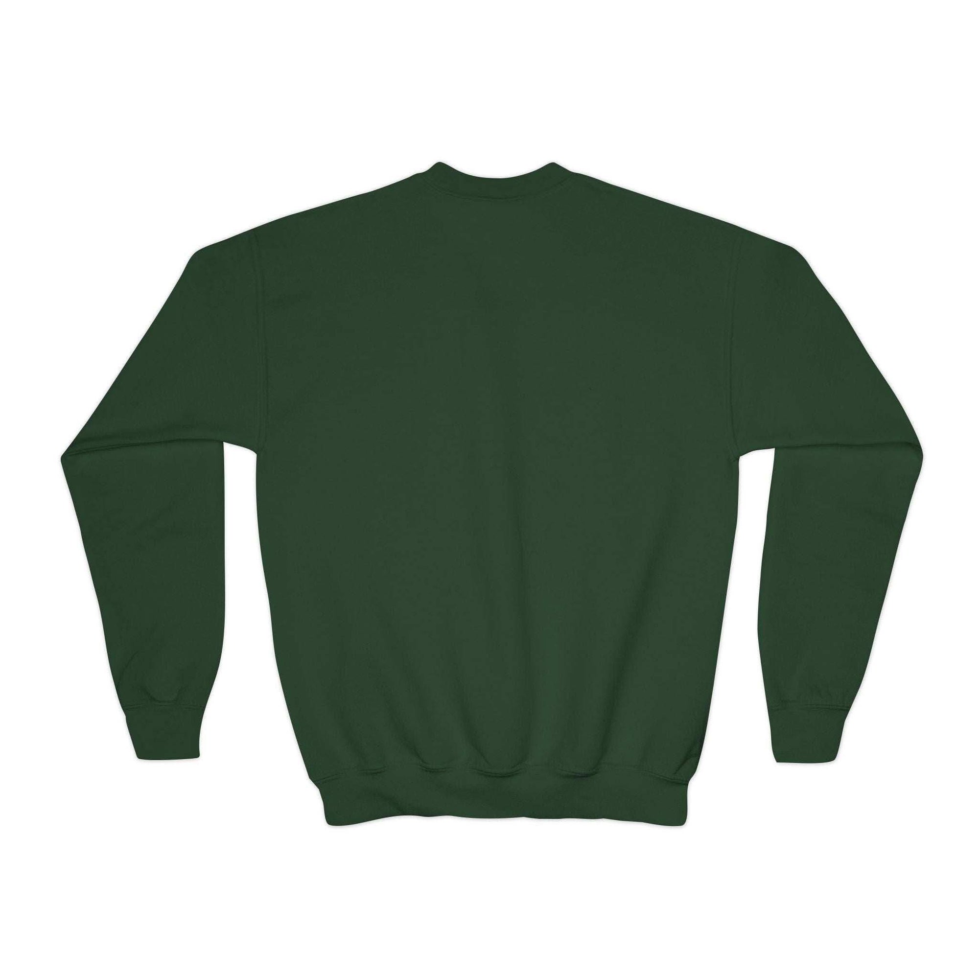 Youth green crewneck sweatshirt with Pelican Santa Hat festive holiday design