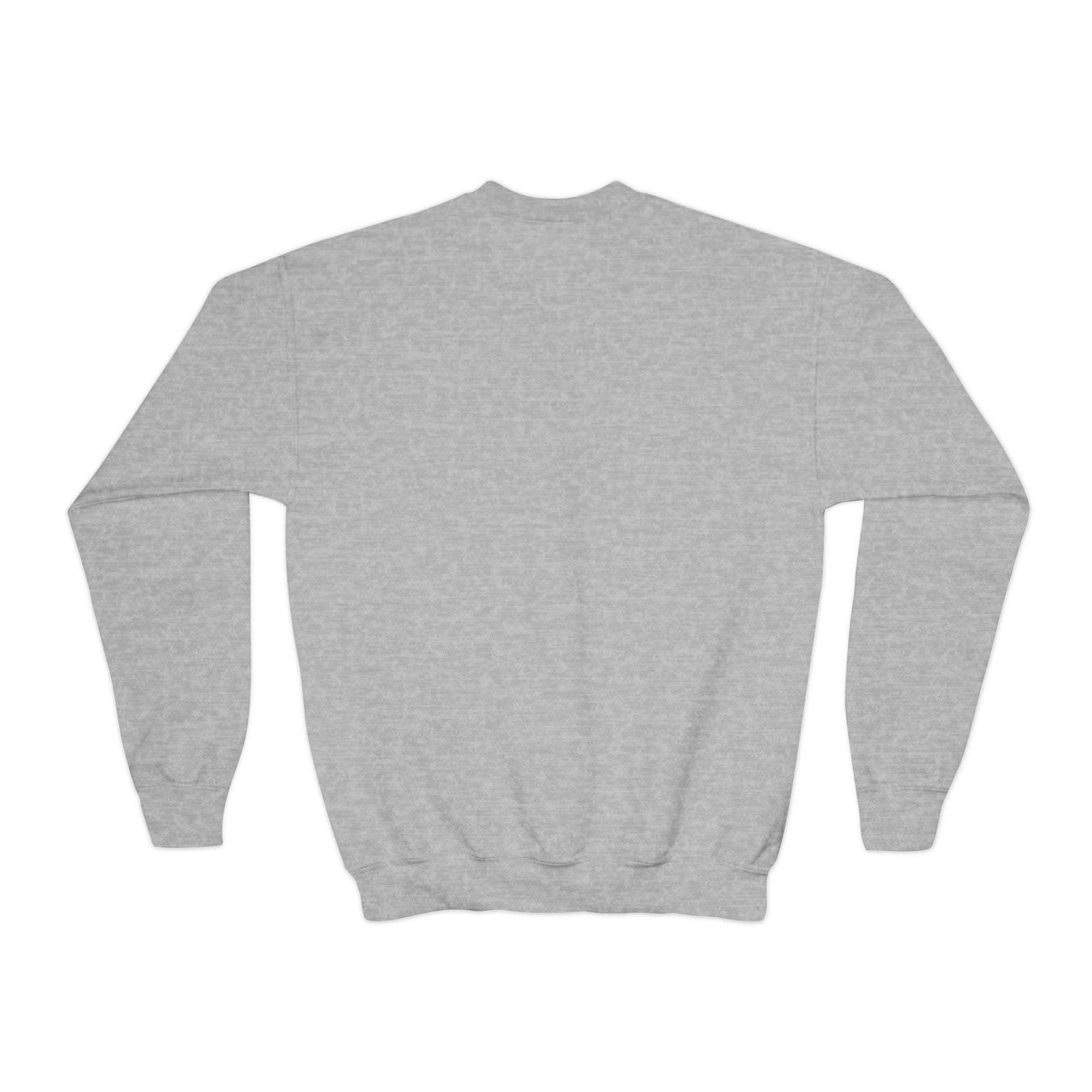 Gray youth crewneck sweatshirt with Pelican Santa Hat embroidered design, festive holiday kids pullover