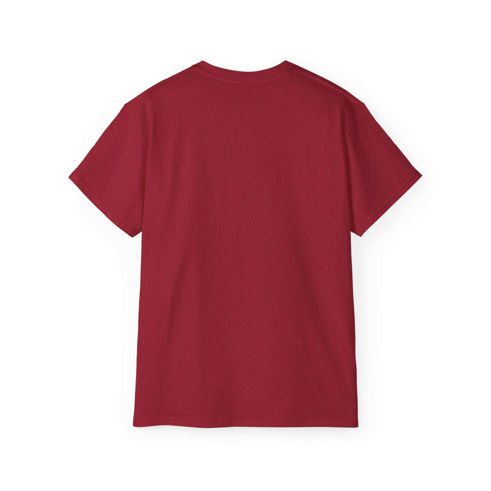 Back view of a red unisex Distressed Frosty T-Shirt made of 100% US cotton
