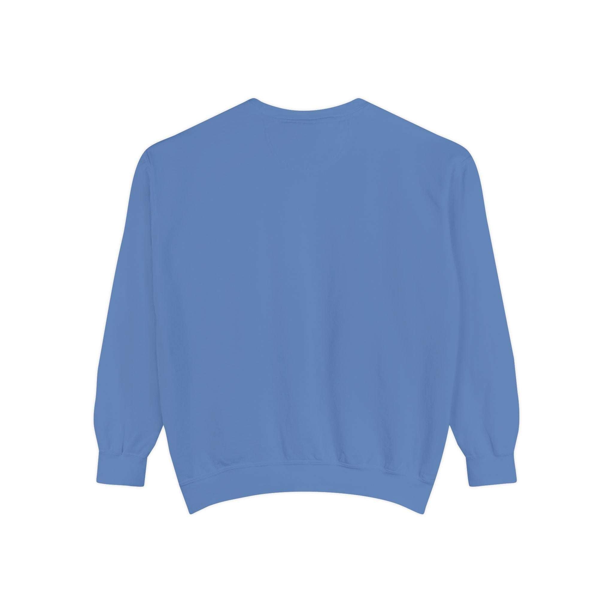 Back view of vintage North Pole Book Club blue sweatshirt with ribbed collar and cuffs
