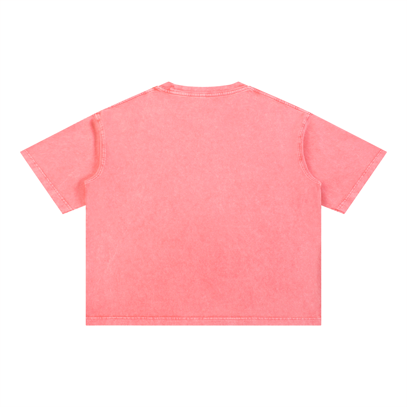 Senior Year 2027 Oversized Boxy Cotton T-Shirt