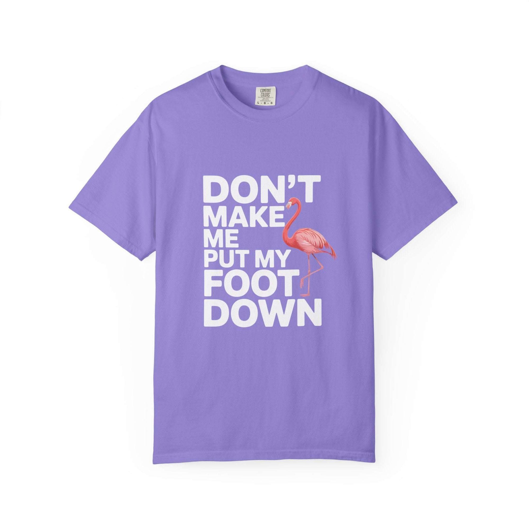 Dont Make Me Put My Foot Down flamingo graphic on vintage-style cotton T-shirt with bold white text