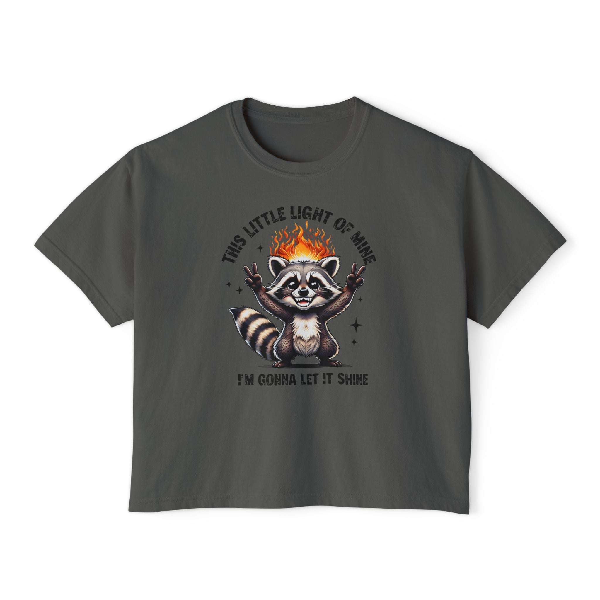 Gray t-shirt with a raccoon graphic and text on a white background