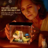 Custom acrylic pet memorial house with 3D holographic display and QR code for personalized pet videos
