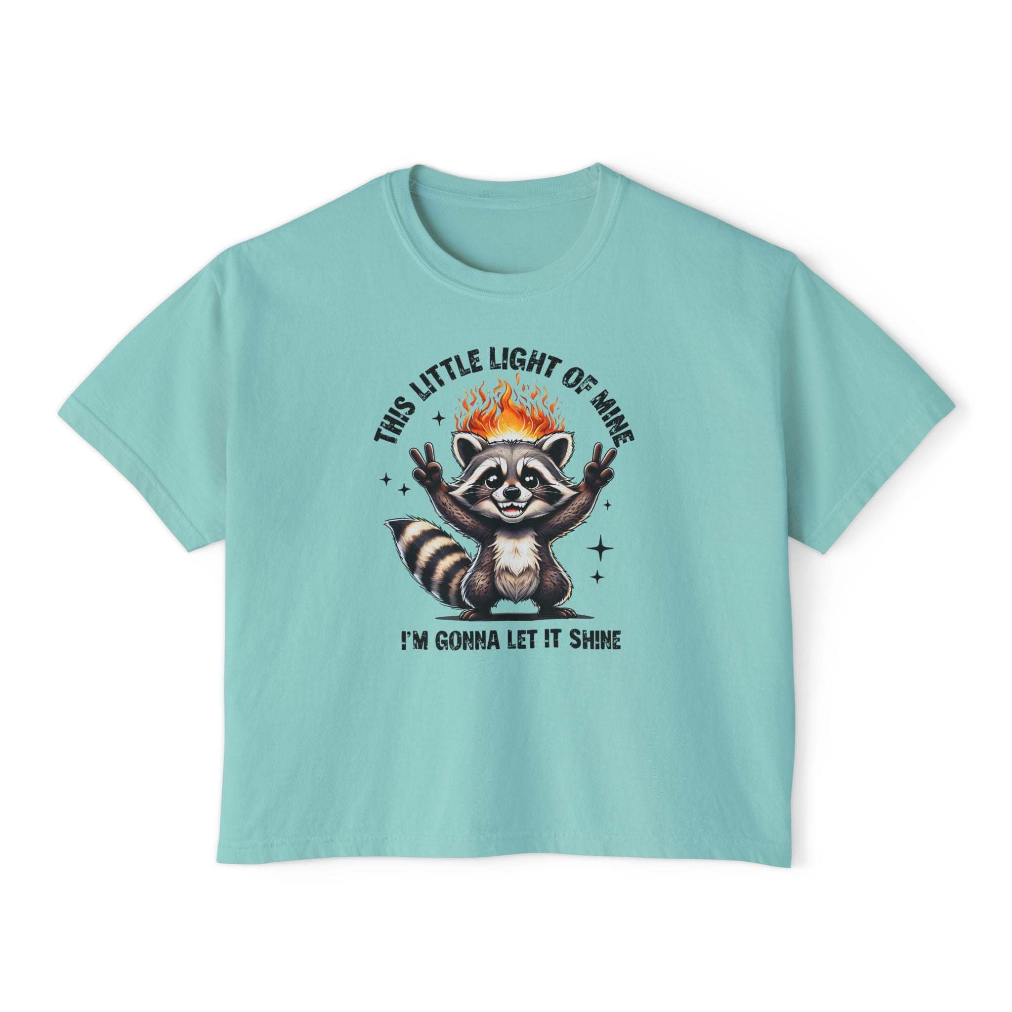 Light blue t-shirt with a raccoon graphic and text on a white background