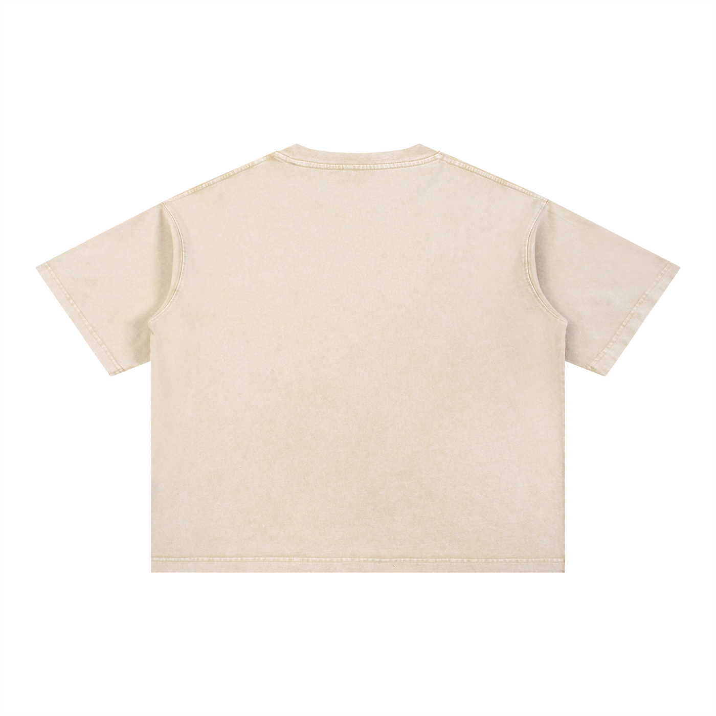 Senior Year 2027 Oversized Boxy Cotton T-Shirt