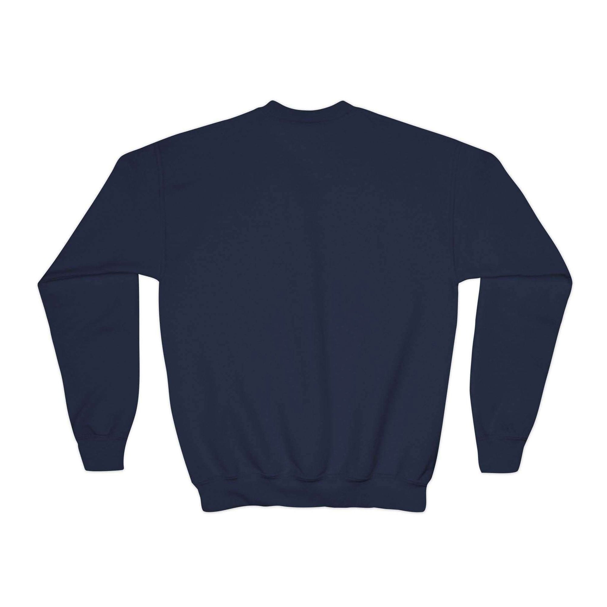 Navy blue sweatshirt on a white background