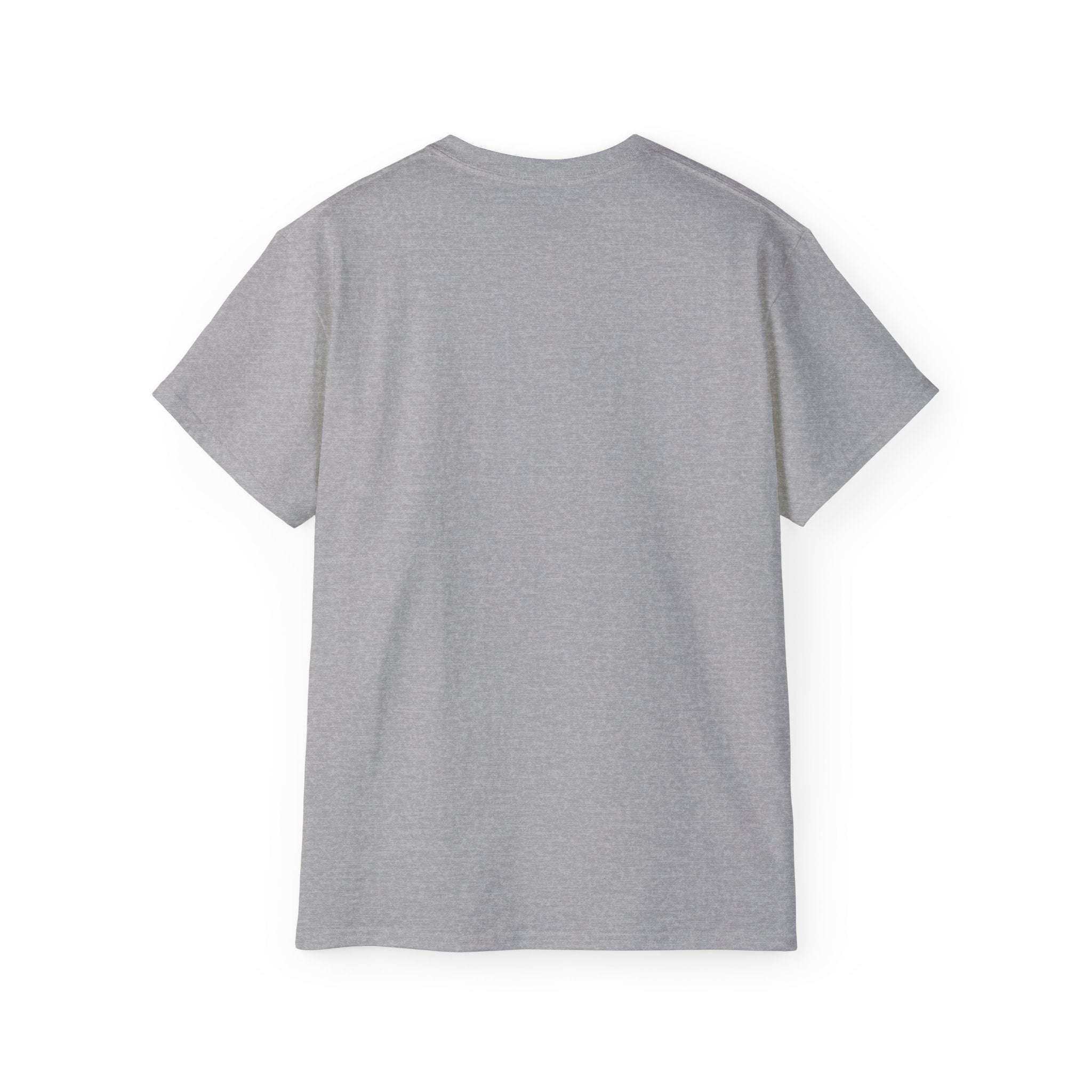 Back view of grey Distressed Frosty T-Shirt unisex tee made of 100% US cotton