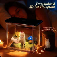 Custom acrylic pet holographic memorial house with 3D digital display for DIY pet memorial keepsake