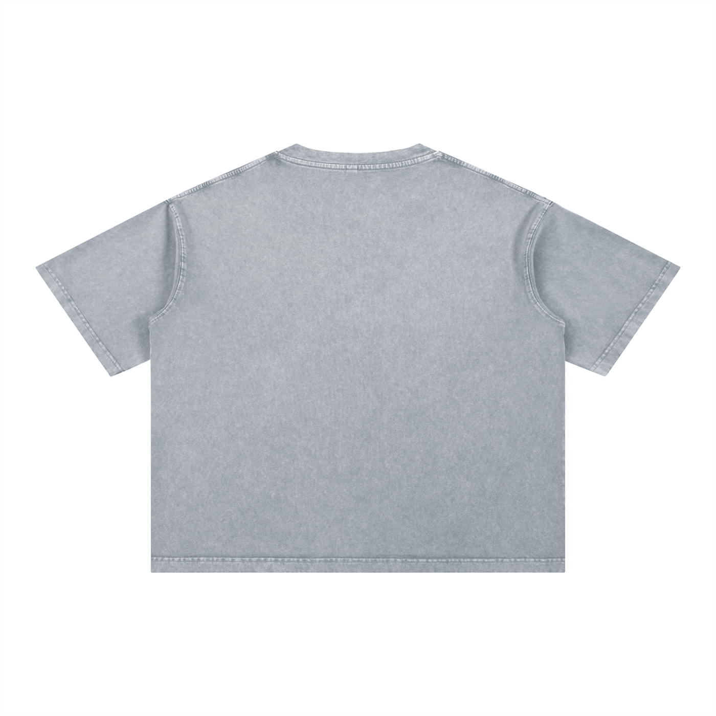 Senior Year 2027 Oversized Boxy Cotton T-Shirt