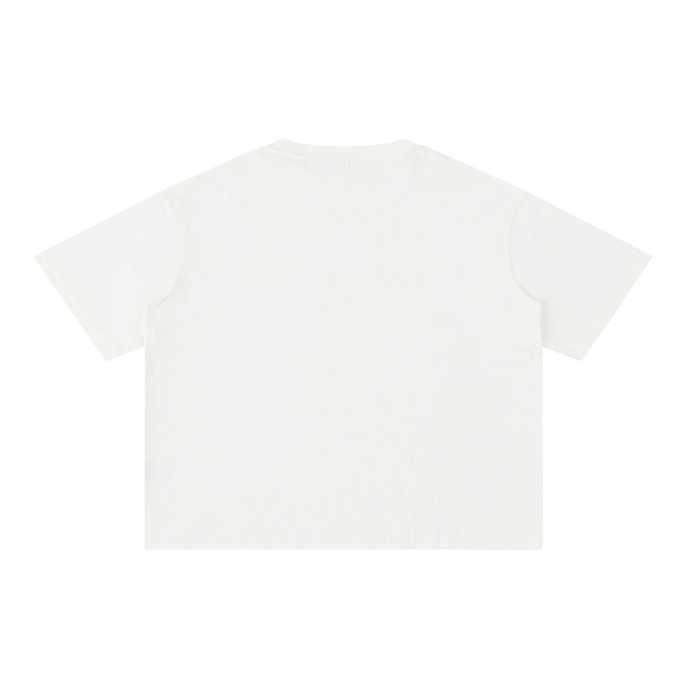 Senior Year 2027 Oversized Boxy Cotton T-Shirt