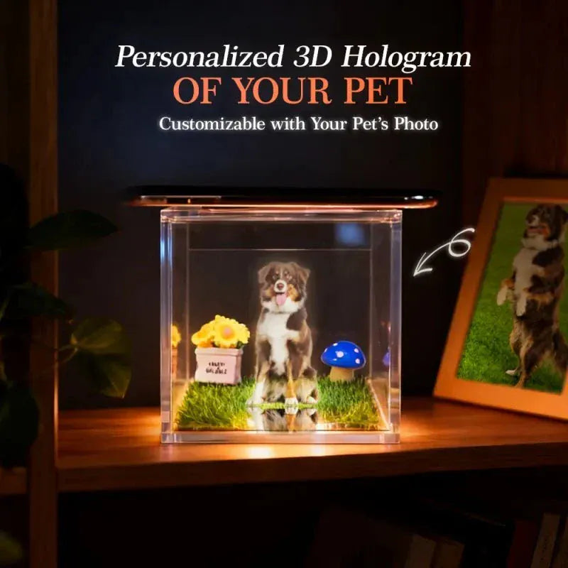 Custom acrylic DIY pet memorial holographic house with 3D digital pet image and QR code video projection