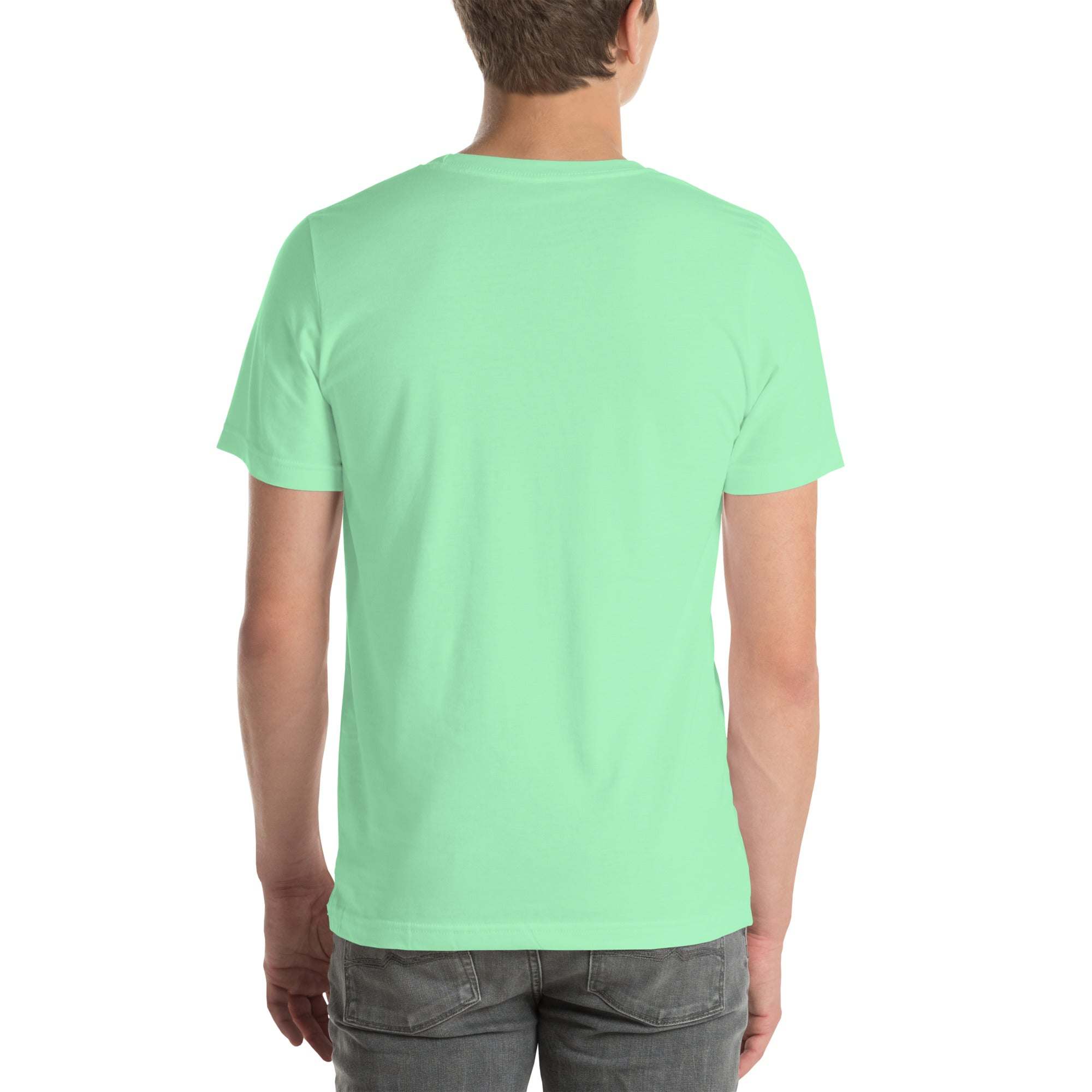 Back view of a man wearing a plain mint green Raccoon Mode T-Shirt made of soft cotton